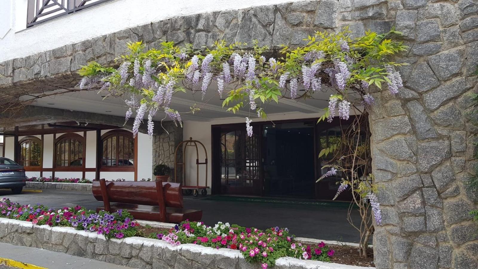 - Apto 115 Apartamento *